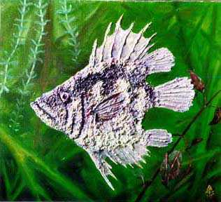 1995.Холст, масло. 45х50